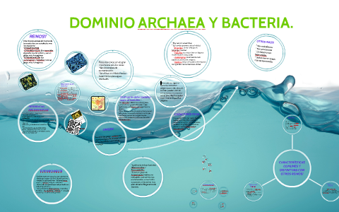 Organismos Del Reino Archaea