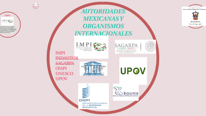 AUTORIDADES MEXICANAS Y ORGANISMOS INTERNACIONALES by alejandra reyes diaz