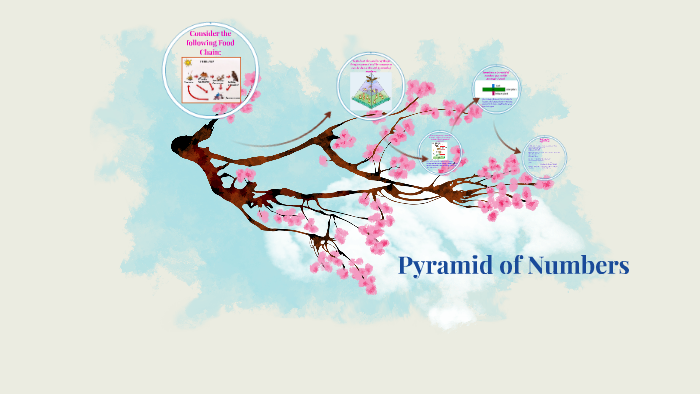 Pyramid of Numbers by Manisha Rani on Prezi