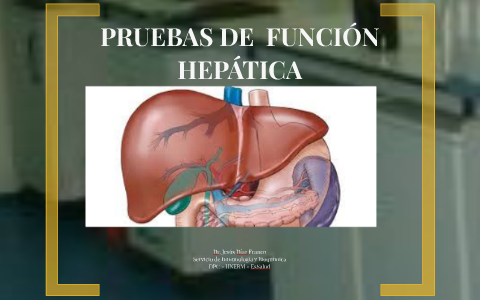 PRUEBAS DE FUNCION HEPATICA by JESUS DIAZ FRANCO on Prezi