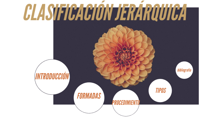 CLASIFICACIÓN JERÁRQUICA by montserrat perez on Prezi