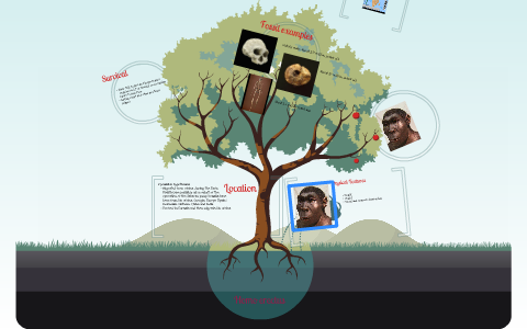 Human Evolution by Sandra Biskupovic on Prezi
