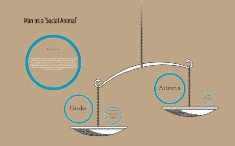 Man is a 'Social Animal' by Haley Drolet Man is a 'Social Animal' by Haley Drolet