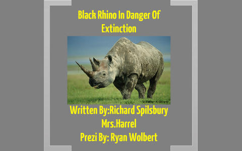 Black Rhino In Danger Of Extinction by Ryan Wolbert