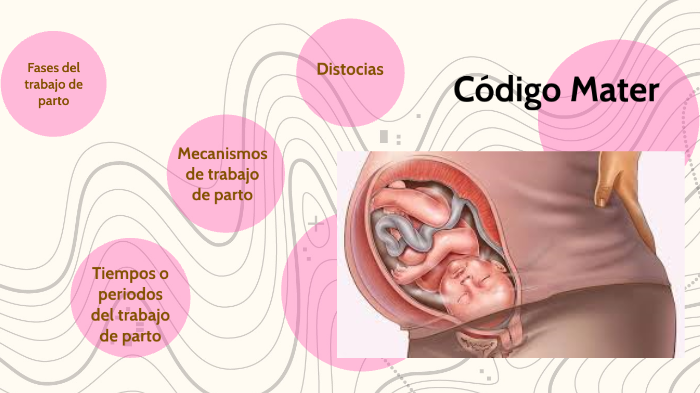 Código Mater by Karen Rodríguez on Prezi