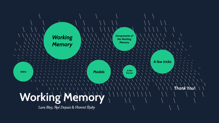 Working Memory - A presentation by N D on Prezi