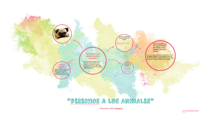 dERECHOS DE LOS ANIMALES by krishnna umanzor gonzalez