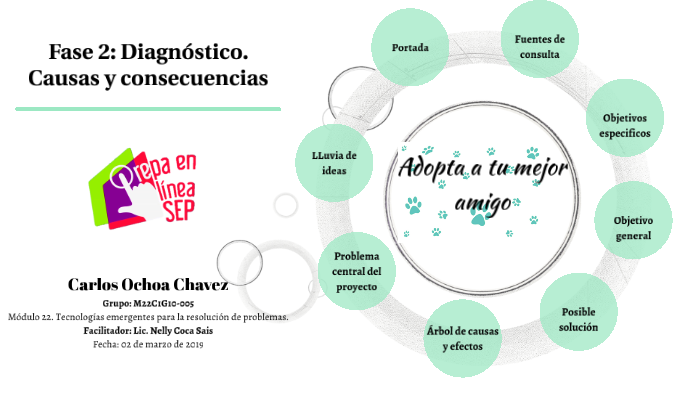 Fase 2: Diagnóstico. Causas y consecuencias by CARLOS OCHOA CHAVEZ on Prezi