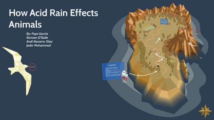 How Acid Rain Effects Animals by faYE garcia