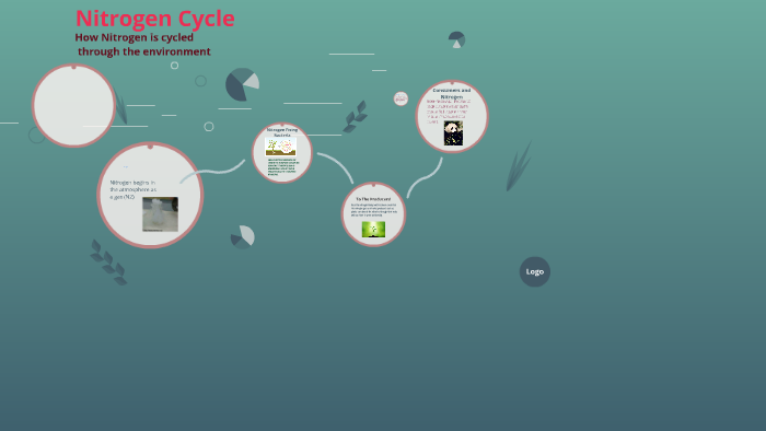Nitrogen Cycle by Julissa Mejia on Prezi