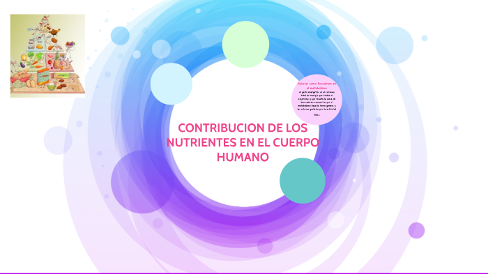 Contibucion De Los Nutrientes En El Cuerpo Humano By Francy Lizeth Rubiano Arevalo 0350
