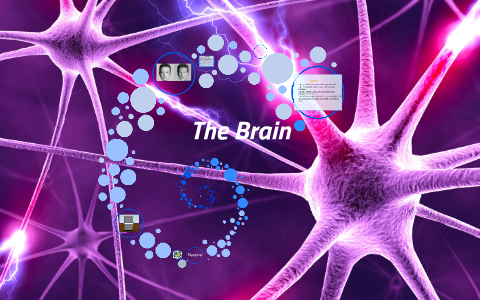 Brain Prezi by Carlos B.