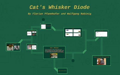 Cat's Whisker Diode by Cat Meows