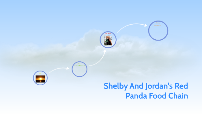 Shelby And Jordan's Red Panda Food Chain by Kimberly Toledo on Prezi