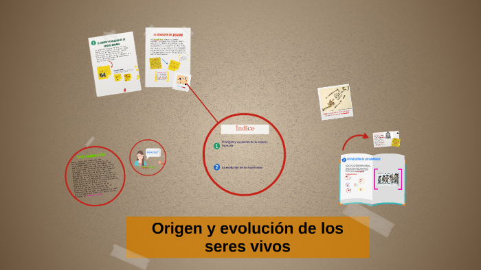 Origen Y Evolución De Los Seres Vivos By Marian Gago