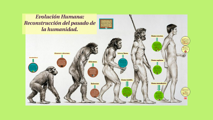 Es El Estudio Del Pasado De La Humanidad