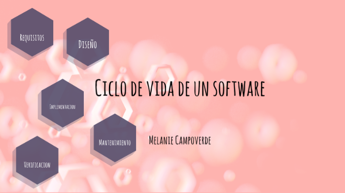 Ciclo de vida de un software by Melanie Campoverde on Prezi