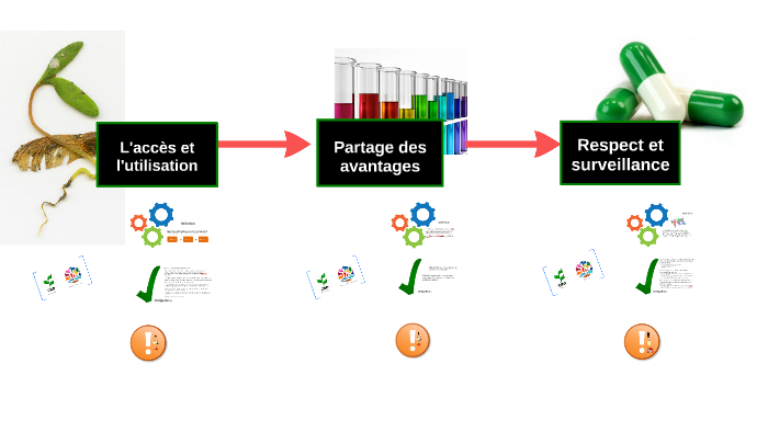 Protocole de Nagoya by MJ O on Prezi