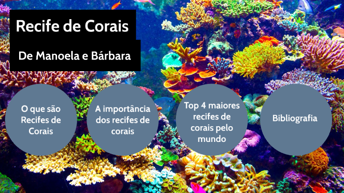 A importância dos recifes de corais by Bárbara savaris on Prezi