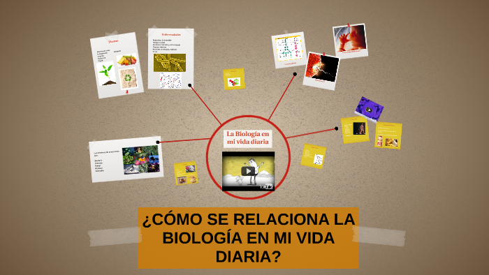 La Biología en mi vida diaria by Patricia Aguilar Granados