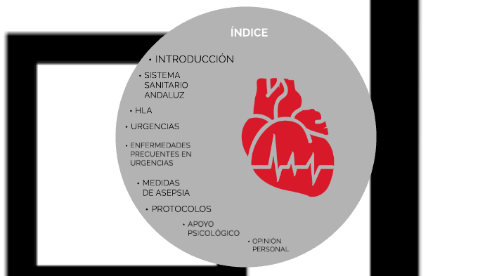 Pi T C A E By Paloma Rocha On Prezi Next