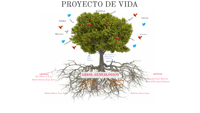 Proyecto de vida by David Rojas on Prezi