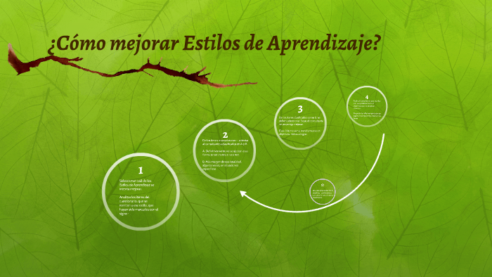¿Cómo mejorar Estilos de Aprendizaje? by Amaia MUJICA VICENTE on Prezi