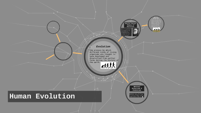 Human Evolution by Rafael Lozano on Prezi