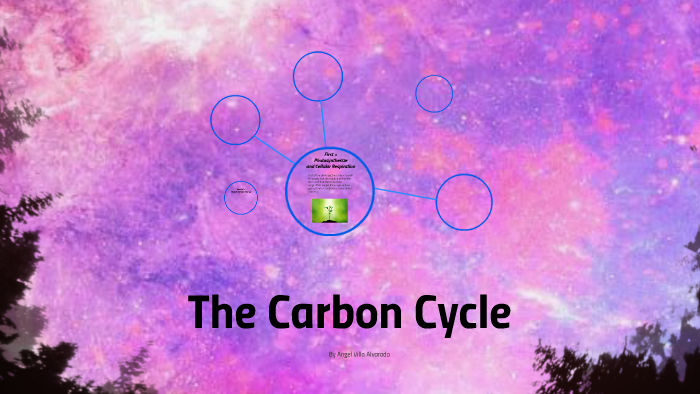 The Carbon Cycle by Angel Villa on Prezi