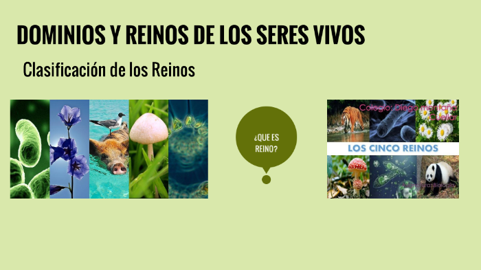 Dominios Y Reinos De Los Seres Vivos By Jessica Diaz On Prezi