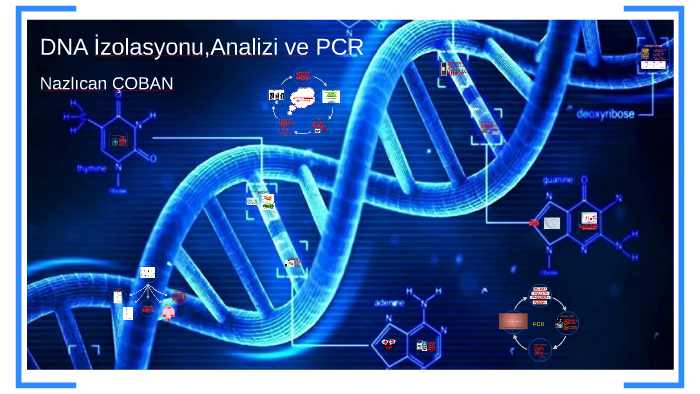 prezi