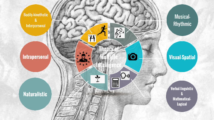 The Theory of Multiple Intelligence by Lonie Espinoza on Prezi