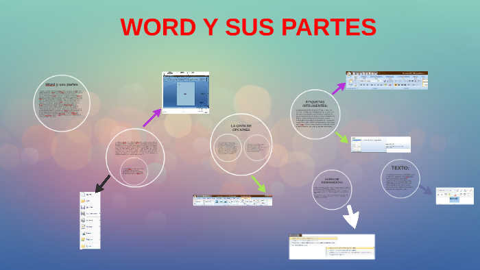 Word Y Sus Partes 9019