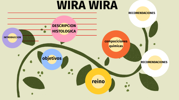 Wira Wira By Yesica Andrea Rojas Terceros On Prezi Next