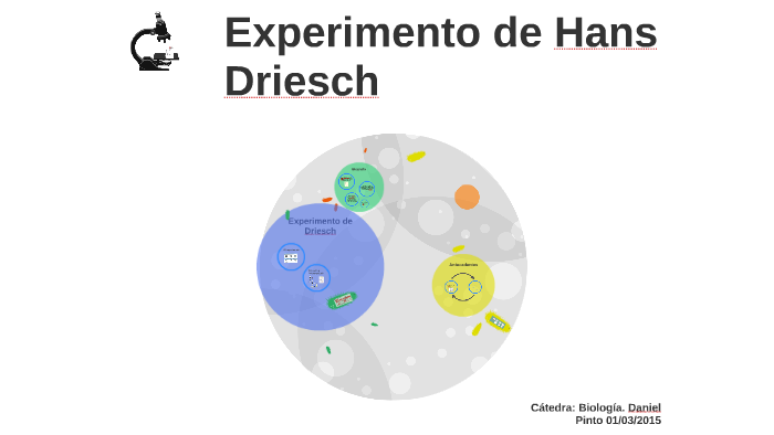 la embriologia experimental experimento de roux y driesch