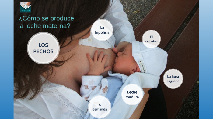 Cómo Se Produce La Leche Materna By On Prezi 