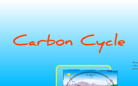 The Carbon Cycle by erin yaworski on Prezi