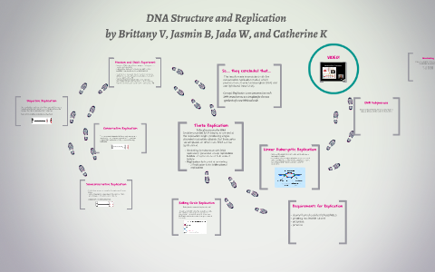 DNA Structure and Replication by Catherine Keve on Prezi