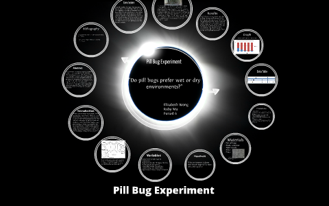 control group pill bug experiment