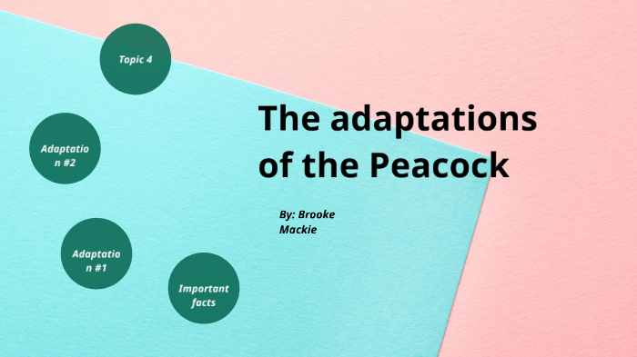 The adaptations of the Peacock by Brooke Mackie on Prezi