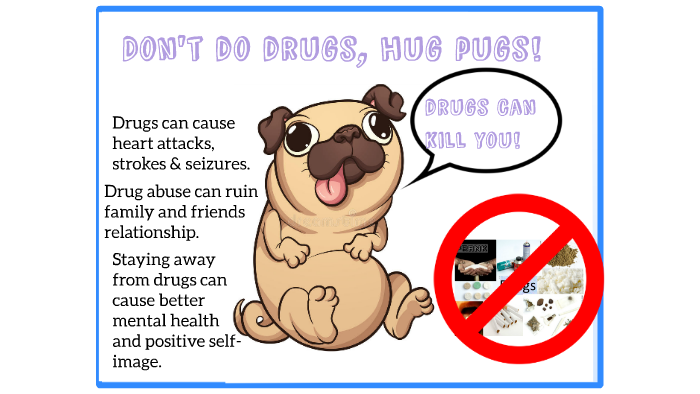 Don 039 T Do Drugs Hug Pugs By Bricoco