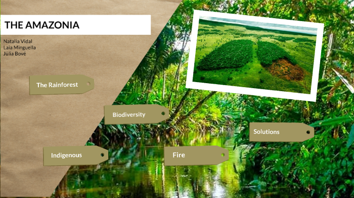 The Amazonia by Laia 18 on Prezi