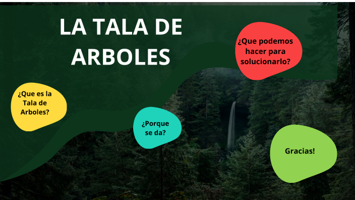 La Importancia de No Talar Arboles by Hannah Carolina Samper Rada