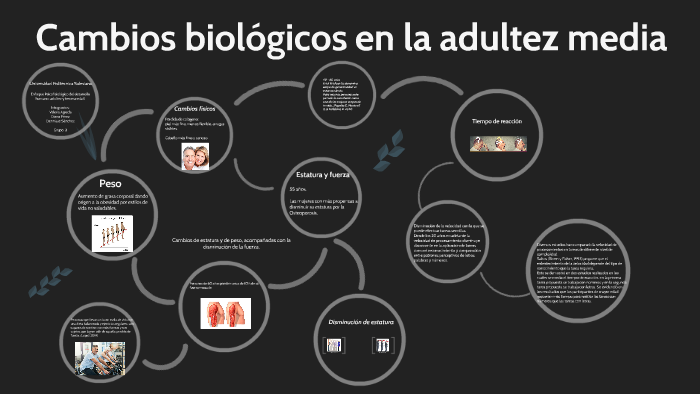 Cambios Biològicos En La Adultez Media By Diana Perez On Prezi 