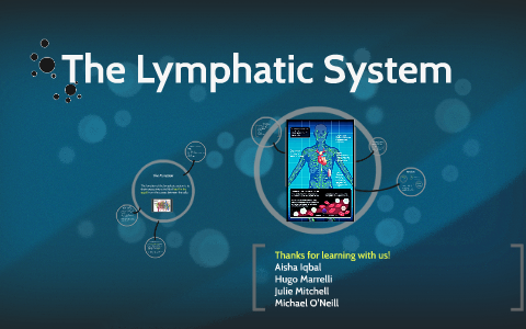 The Lymphatic System by Aisha Iqbal on Prezi