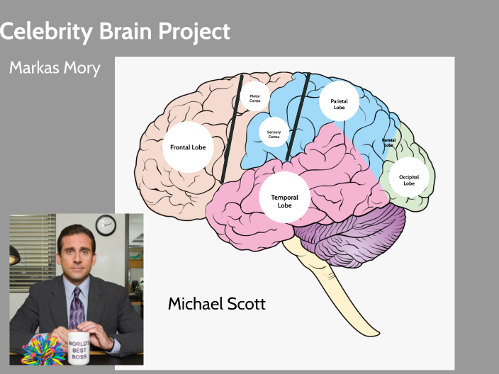 Celebrity Brain Project By Markas Mory On Prezi