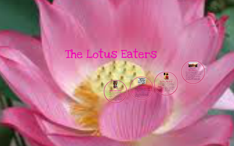 percy jackson lotus eaters
