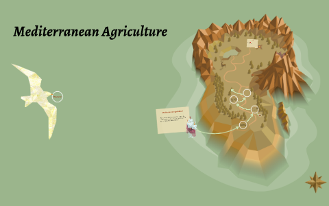 Mediterranean Agriculture By Britney Lariviere