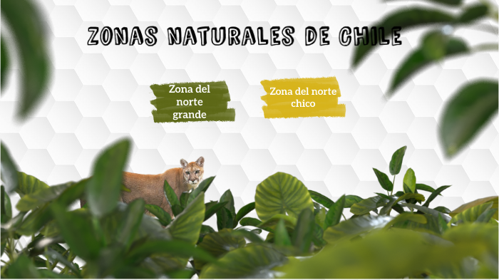 Grandes zonas naturales, quinto básico by Camila Contador on Prezi