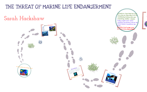 The threat of marine life endangerment by Sarah Hackshaw